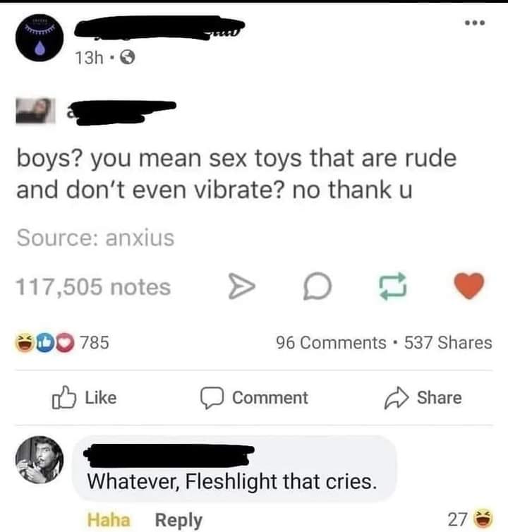 boys?, you mean sex toys that are rude and don't even vibrate?, no thank you, whatever fleshlight that cries