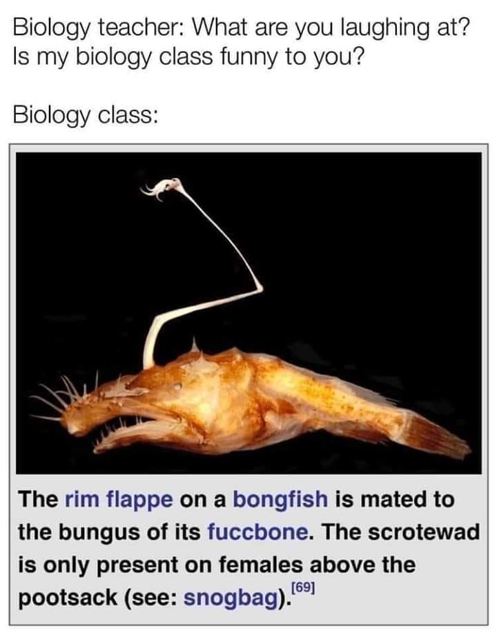 biology teacher, what are you laughing at, is my biology class funny to you?, the rim flappe on a bongfish is mated to the bungus of its fuccbone, the scrotewad is only present on females above the pootsack