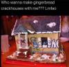 who wanna make gingerbread crack houses with me?