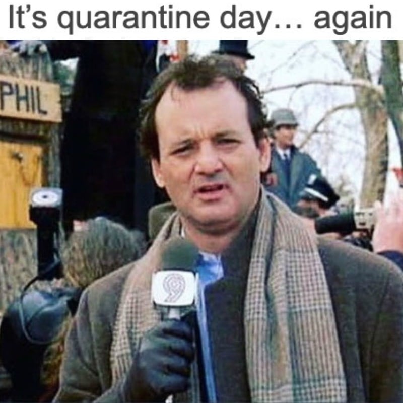 it's quarantine day again, groundhog day