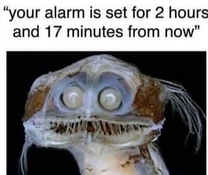 your alarm is set for 2 hours and 17 minutes from now