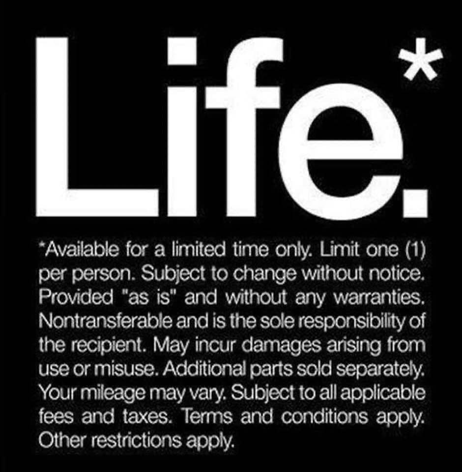 the disclaimer that life should comes with