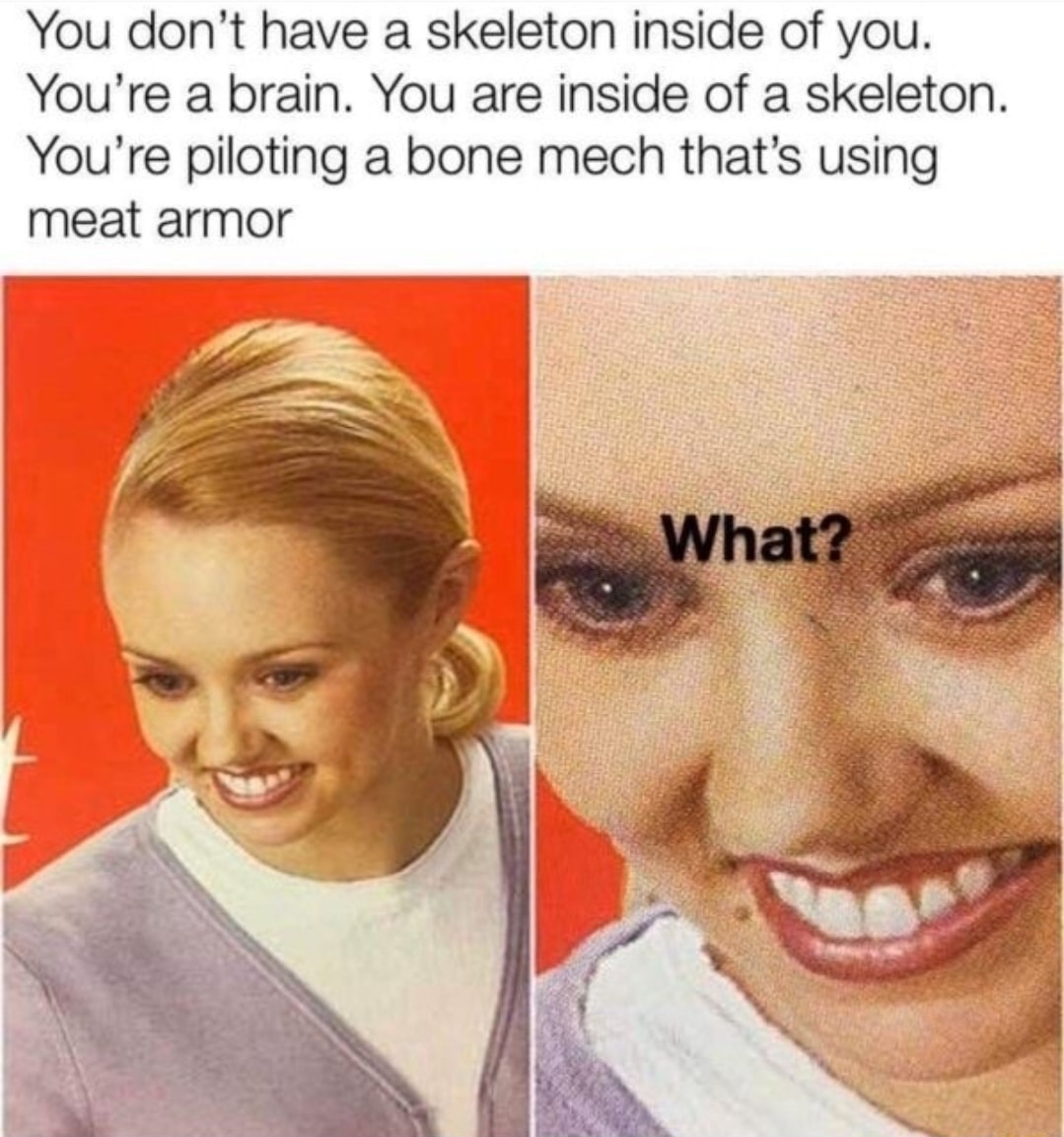 you don't have a skeleton inside of you, you're a brain, you are inside of a skeleton, you're piloting a bone mech that's using meat armor