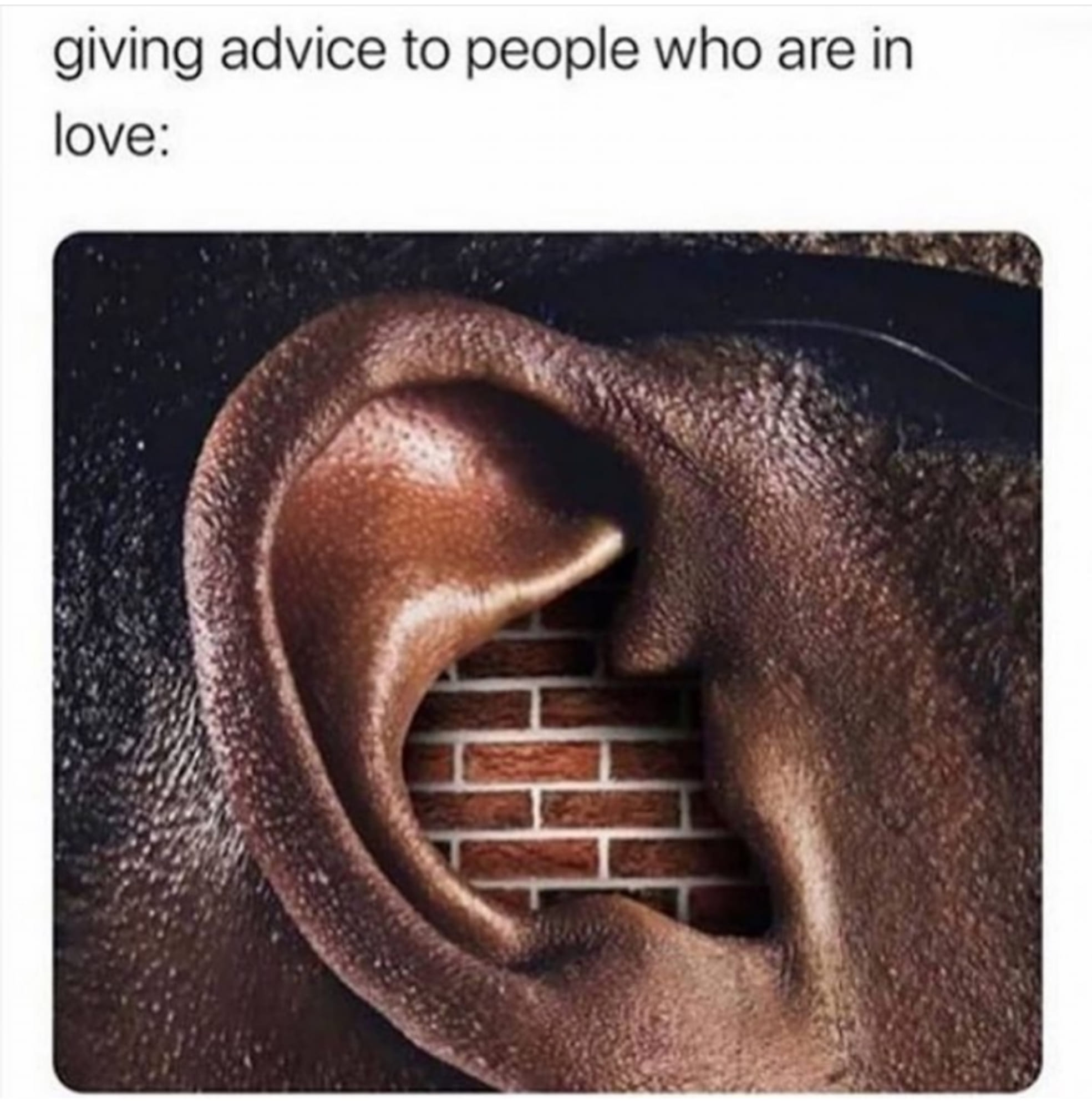 giving advice to people who are in love, ear, brick wall