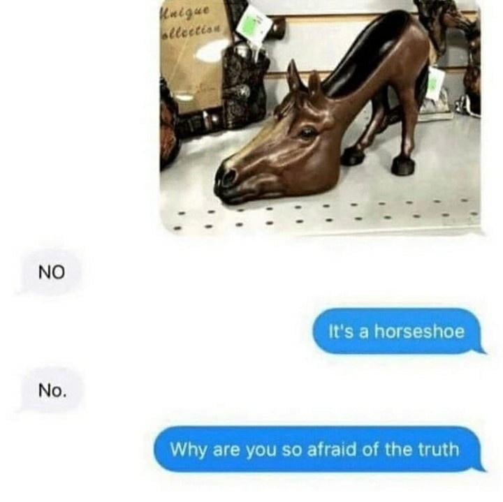 it's a horseshoe, no, why are you so afraid of the truth, no
