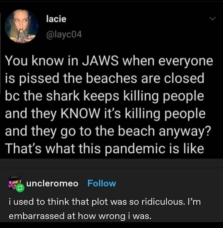 you know in jaws when everyone is pissed the beaches are closed because the shark keeps killing people and they know it's killing people and they go to the beach anyway?, that's what this pandemic is like