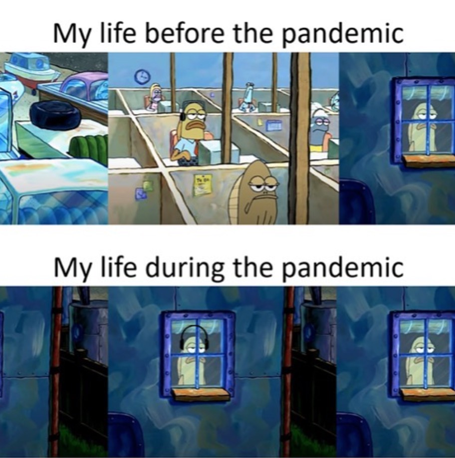 my life before the pandemic, my life during the pandemic