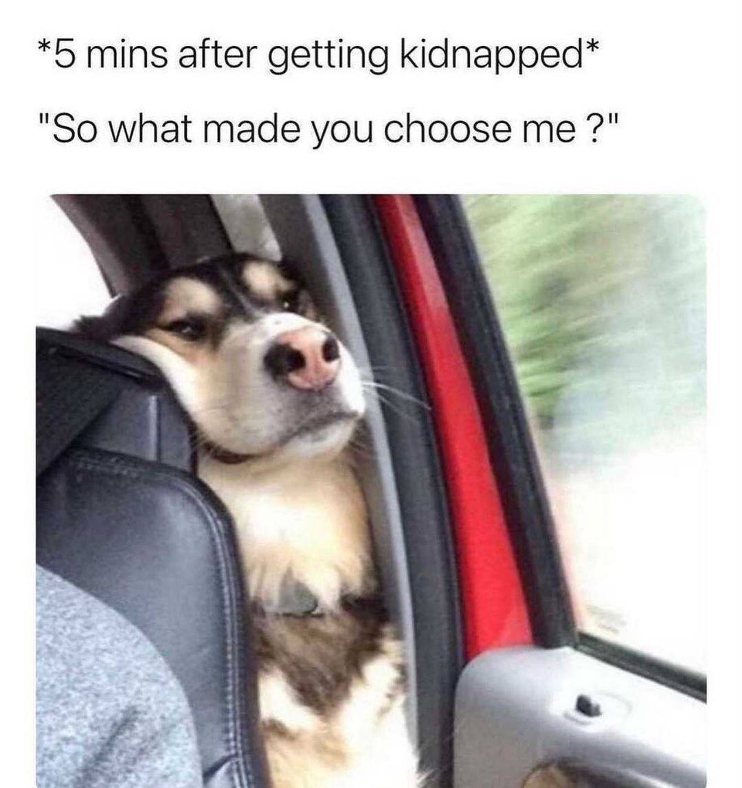 5 minutes after getting kidnapped, so what made you choose me?, meme