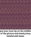 put your nose tip on the middle of the picture and slowly pull away, magic eye, butterfly