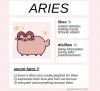 astrology cat, aries, taurus, gemini, cancer, leo, virgo, libra, scorpio, sagittarius, capricorn, aquarius, pisces