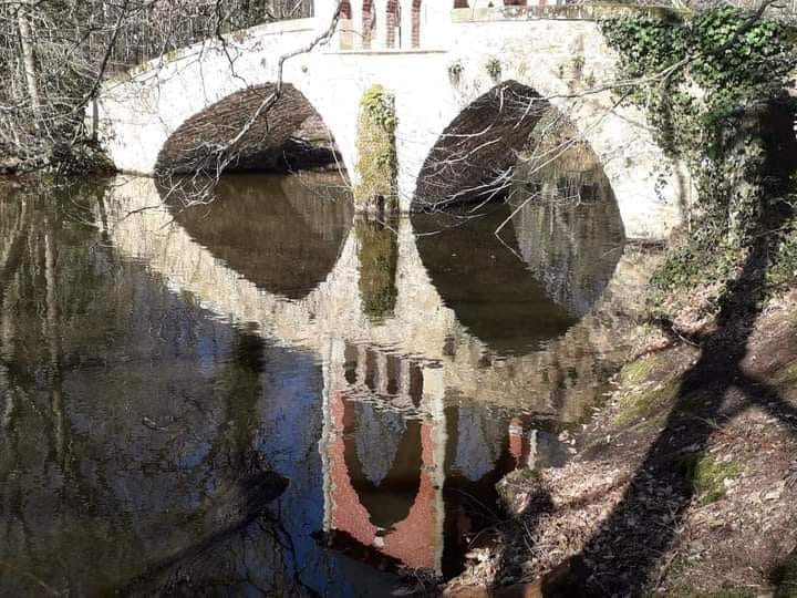 skulls and bridges, reflection of bridge in water looks like a skull