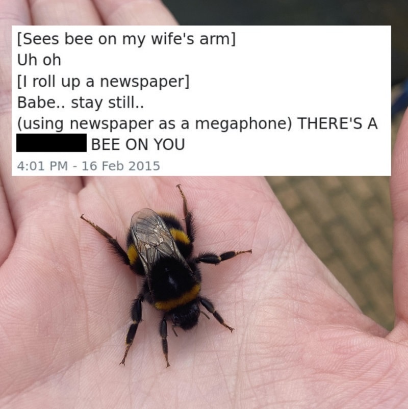 sees bee on my wife's arm, uh oh, i roll up a newspaper, babe stay still, using newspaper as a megaphone, there's a bee on you!