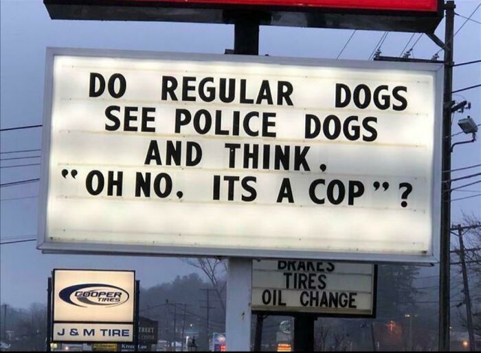 do regular dogs see police doogs and think, oh no, it's a cop?