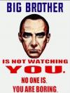 big brother is not watching you, no one is, you are boring