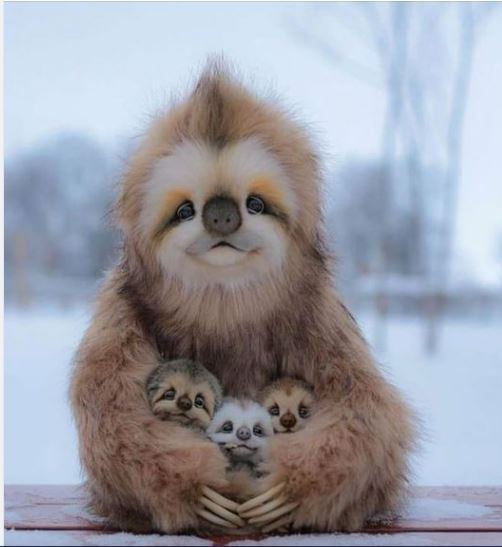 just a female sloth and her babies
