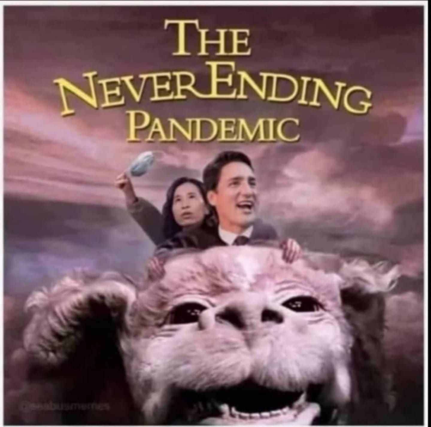 the neverending pandemic