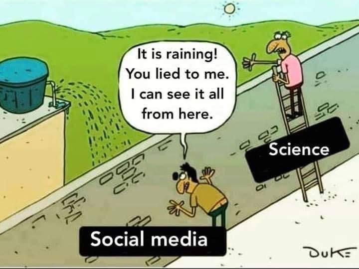 it is raining, you lied to me, i can see it all from here, social media, science