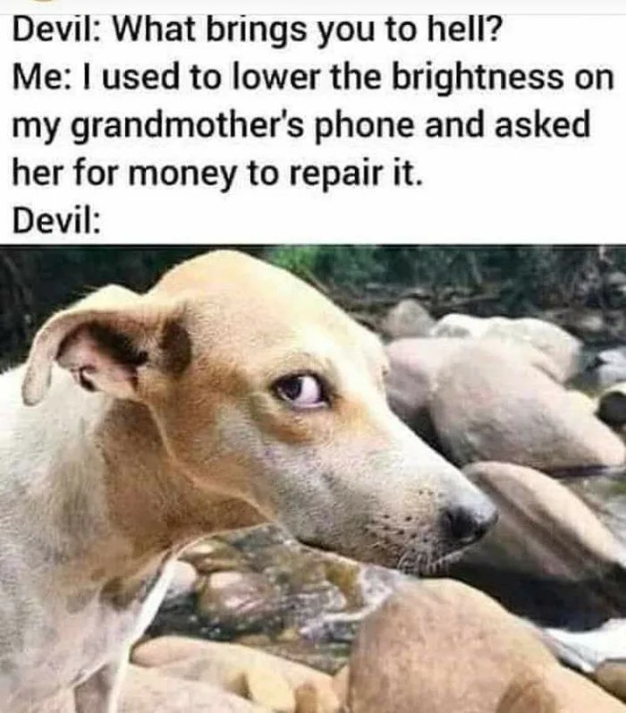 devil, what brings you to hell, i used to lower the brightness on my grandmother's phone and asked her for money to repair it