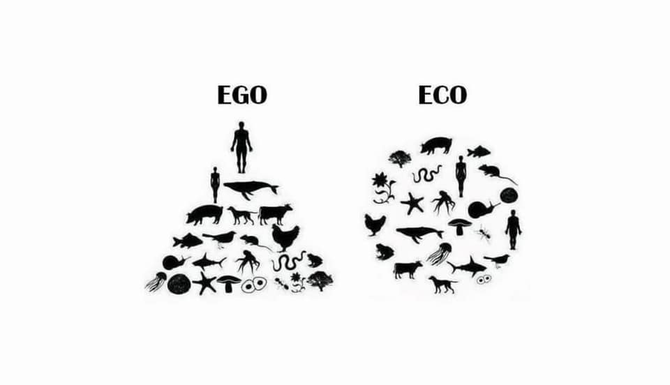 ego vs ego