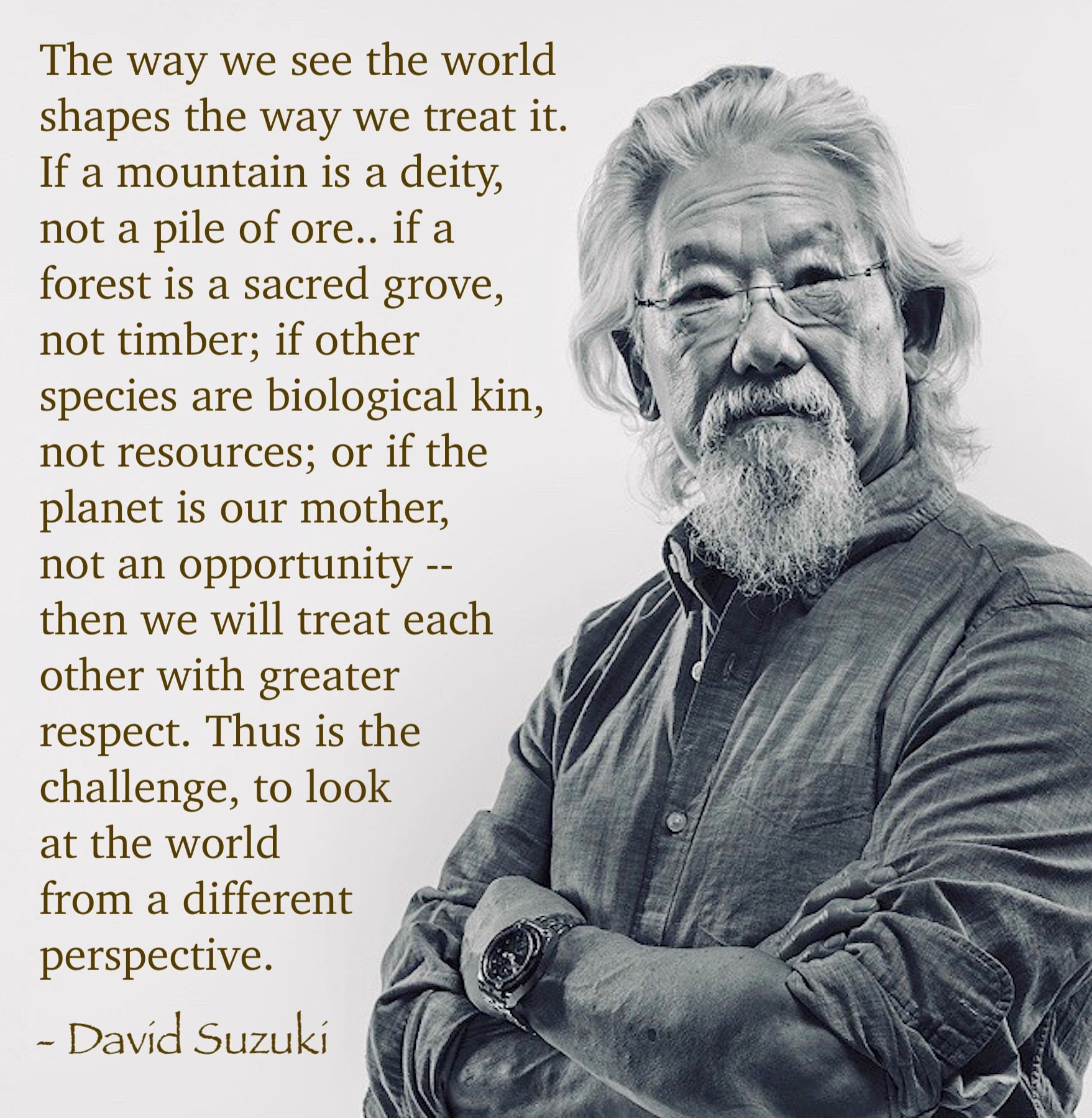 the way we see the world shapes the way we treat it, if a mountain is a deity, not a pile of ore, if a forest is a sacred grove, not timber, then we will treat each other with greater respect, thus is the challenge, david suzuki