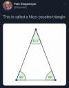 this is called a nice-osceles triangle, a perfect triangle doesn't exist
