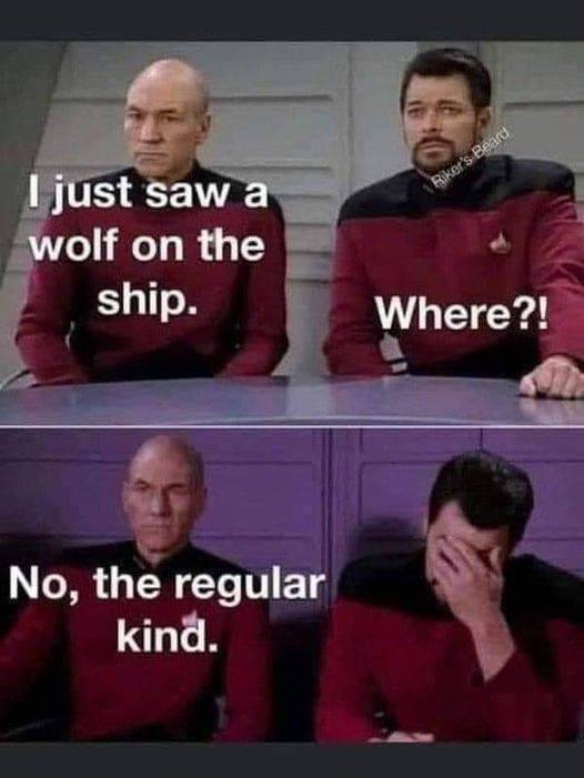 i just saw a wolf on the ship, where?, no the regular kind