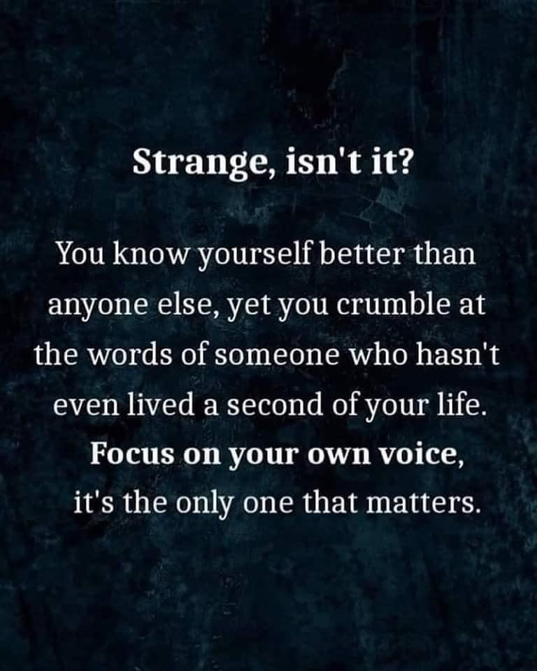 strange isn't it, you know yourself better than anyone else, yet you crumble at the words of someone who hasn't even lived a second of your life, focus on your own voice, it's the only one that matters