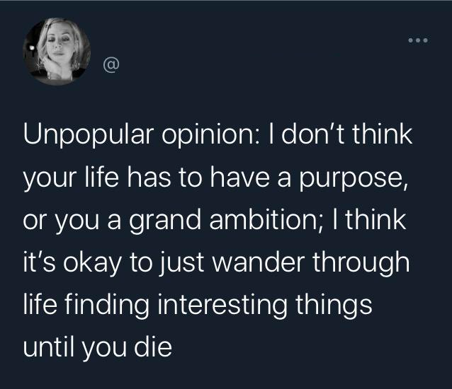 unpopular opinion, i don't think your life has to have a purpose or a grand ambition, i think it's okay to just wander through life finding interesting things until you die
