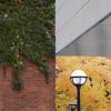 it appears to be four separate photos of changing seasons, it is actually one single photo of two separate buildings and the changing leaves in the background