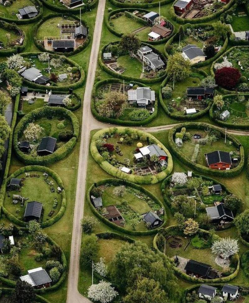 some denmark neighborhoods separate homes using large circular hedges