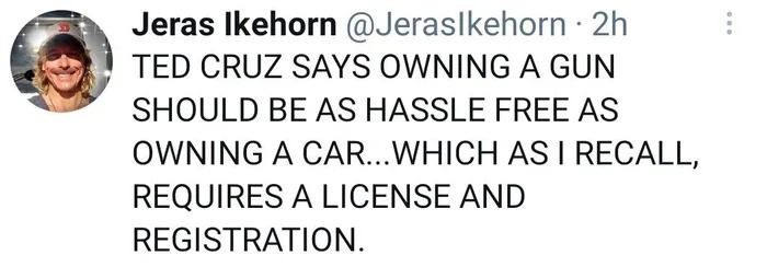 ted cruz says owning a gun should be as hassle free as owning a car, which as i recall, requires a license and registration