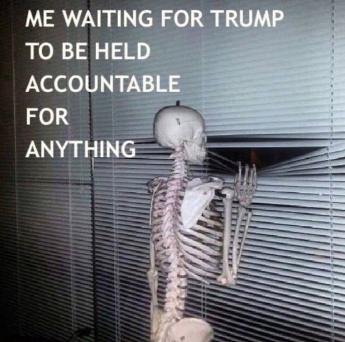 me waiting for trump to be held accountable for anything