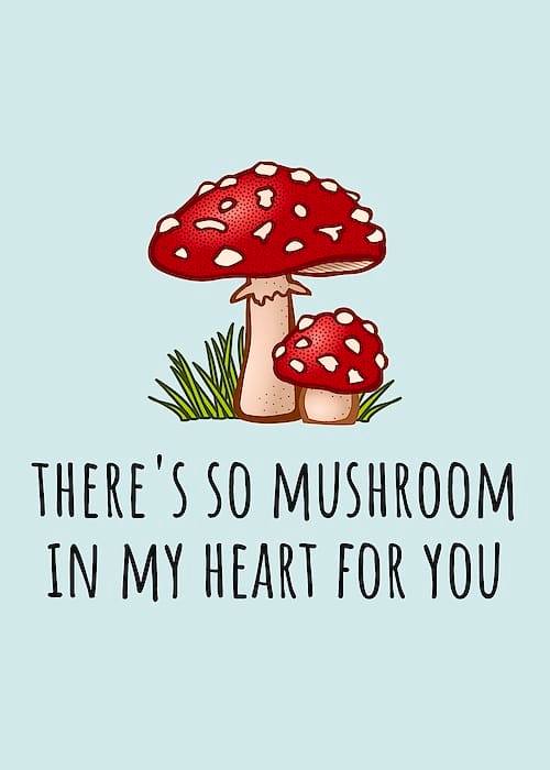there's so mushroom in my heart right now