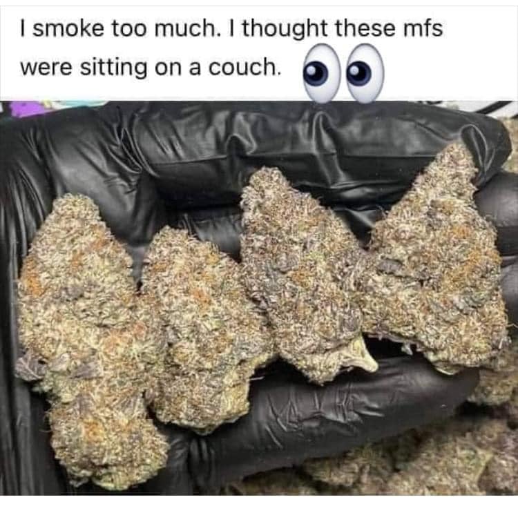 i smoke too much, i thought these mfs were sitting on a couch