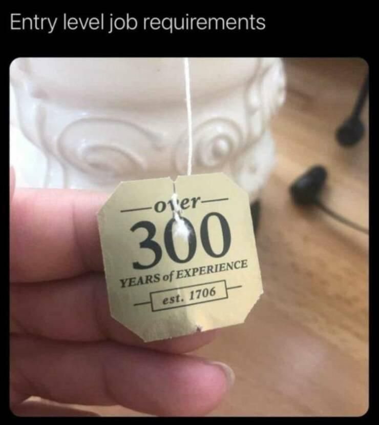entry level job requirements