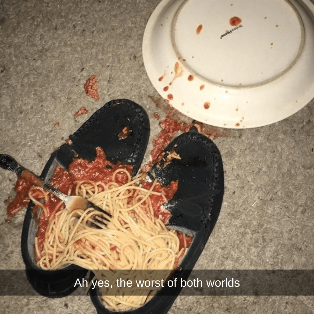 ah yes, the worst of both worlds, spaghetti fallen into slippers, fail