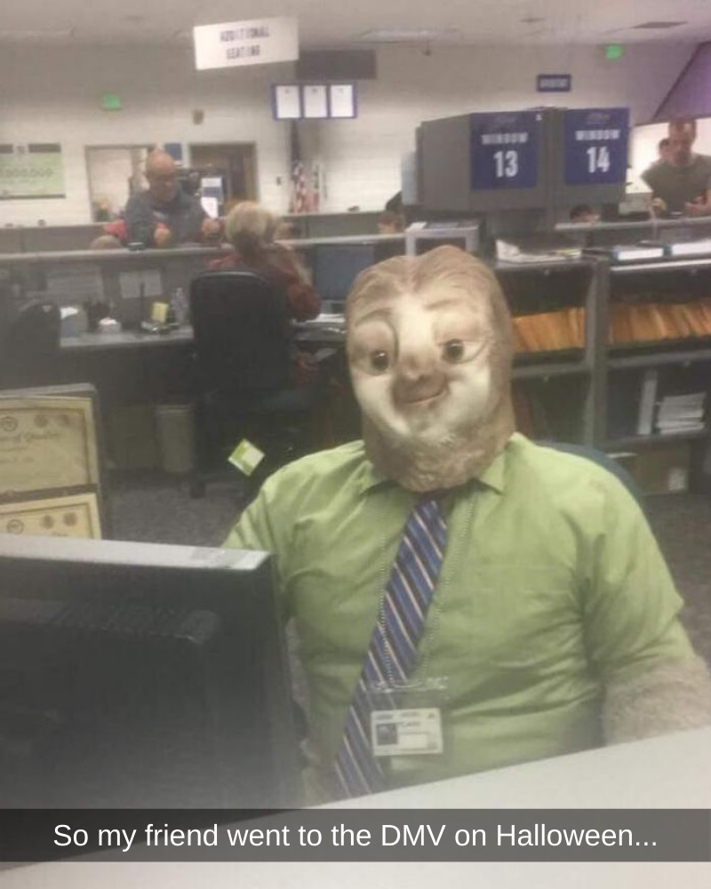 so my friend went to the dmv on halloween, sloth