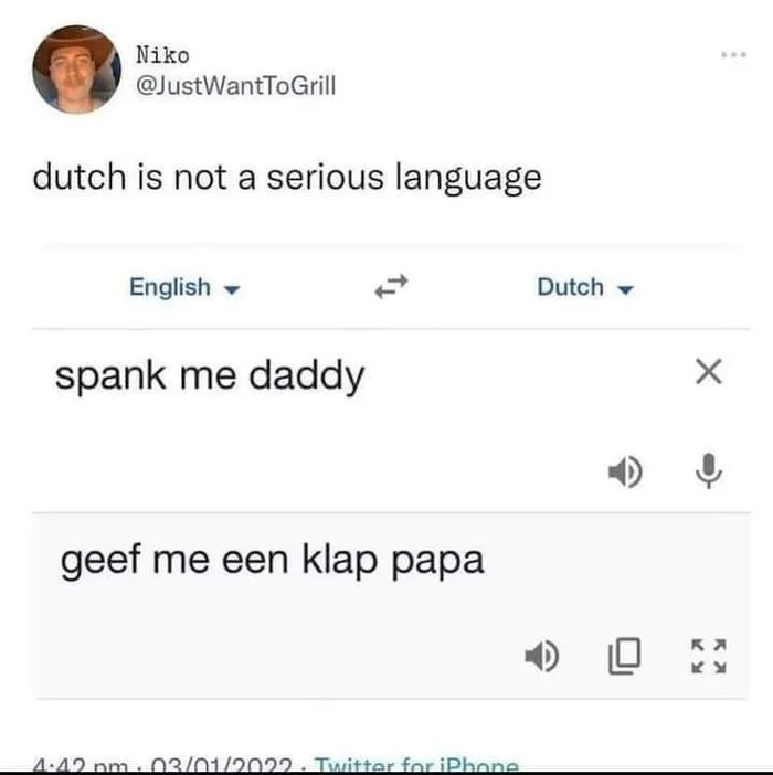 ducth is not a serious language, google translate, spank me daddy, geef me een klap papa