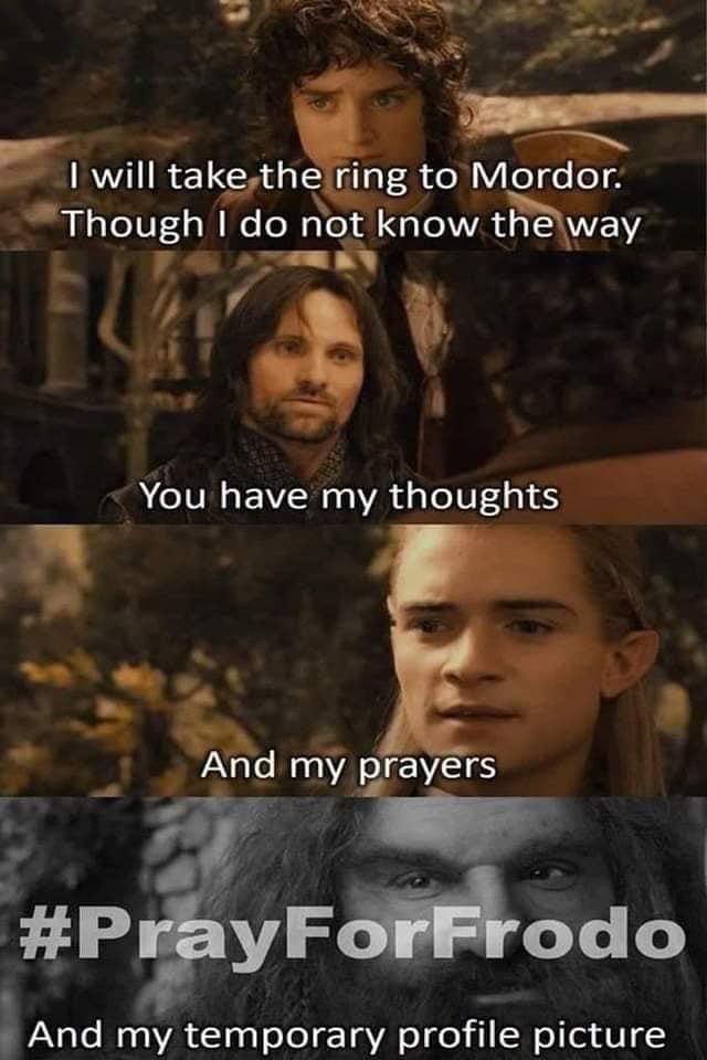i will take the ring to mordor but i do not know the way, you have my thoughts, and my prayers, and my temporary profile picture, prayforfrodo