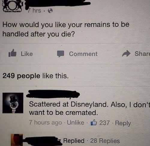 how would you like your remains to be handled after you die, scattered at disneyland, also, i don't want to be cremated