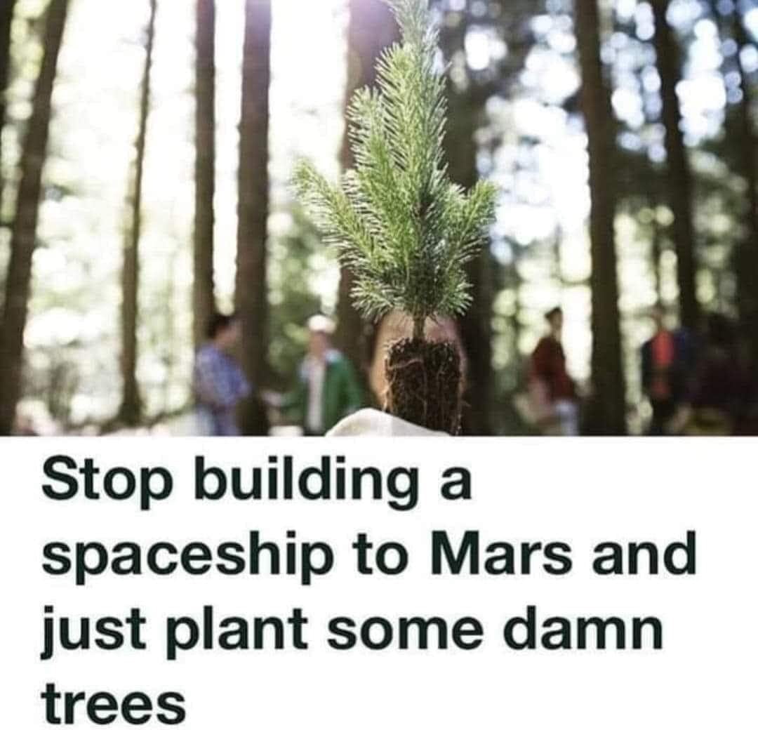 stop building a spaceship to mars and just plant some damn trees