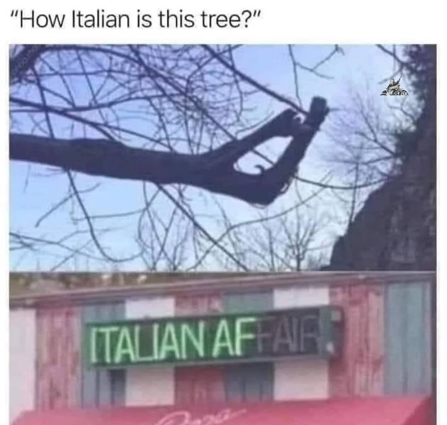 how italian is this tree, italian af