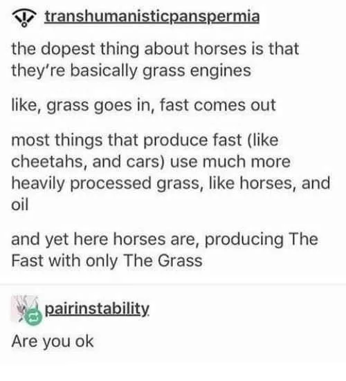 the dopest things about horses is that they're basically grass engines, like, grass goes in, fast comes out, most things that produce fast (like cheetahs and cars) use much more heavily processed grass, like horses and oil