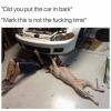 did you put the car in bark, mark this is not the fucking time