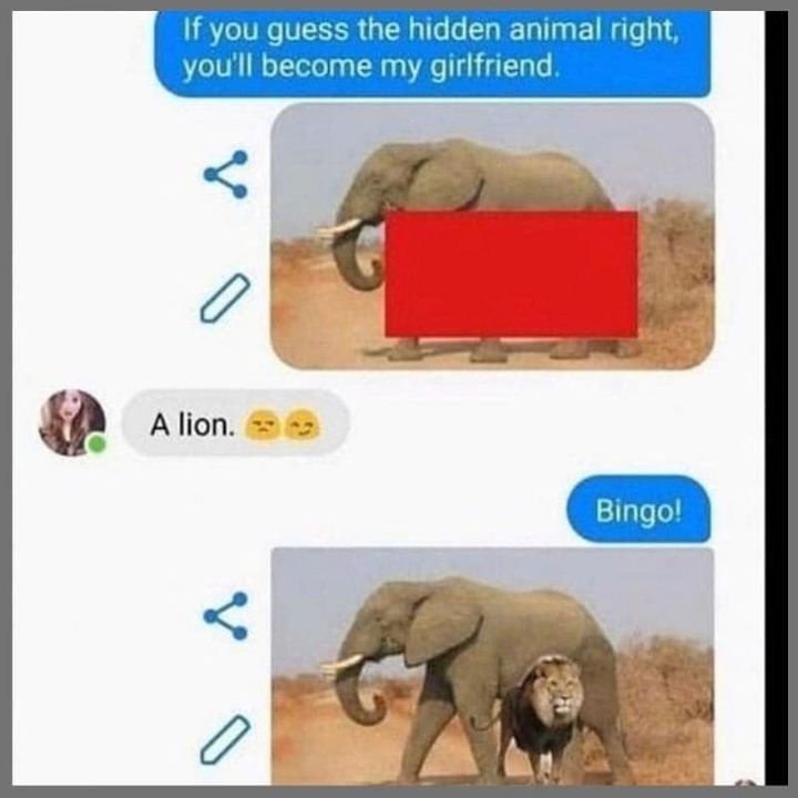 if you guess the hidden animal right, you'll become my girlfriend, a lion, bingo!, photoshop