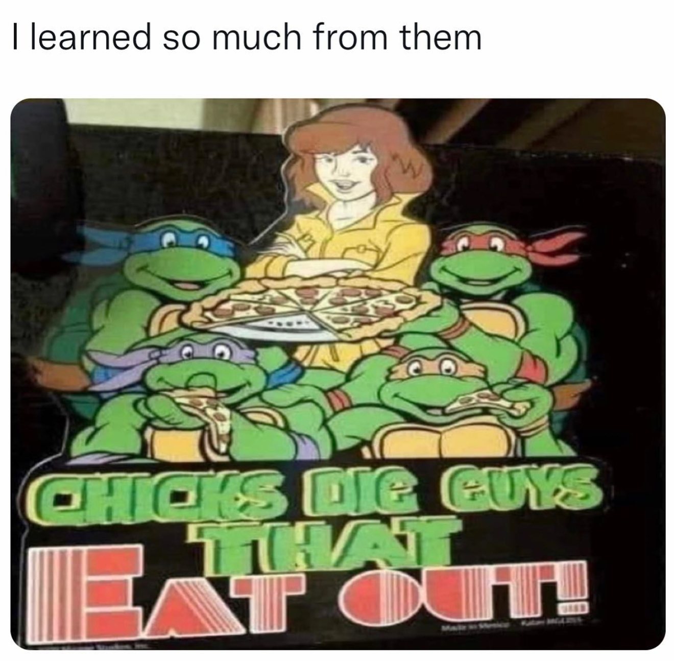 chicks dig guys that eat out, teenage mutant ninja turtles
