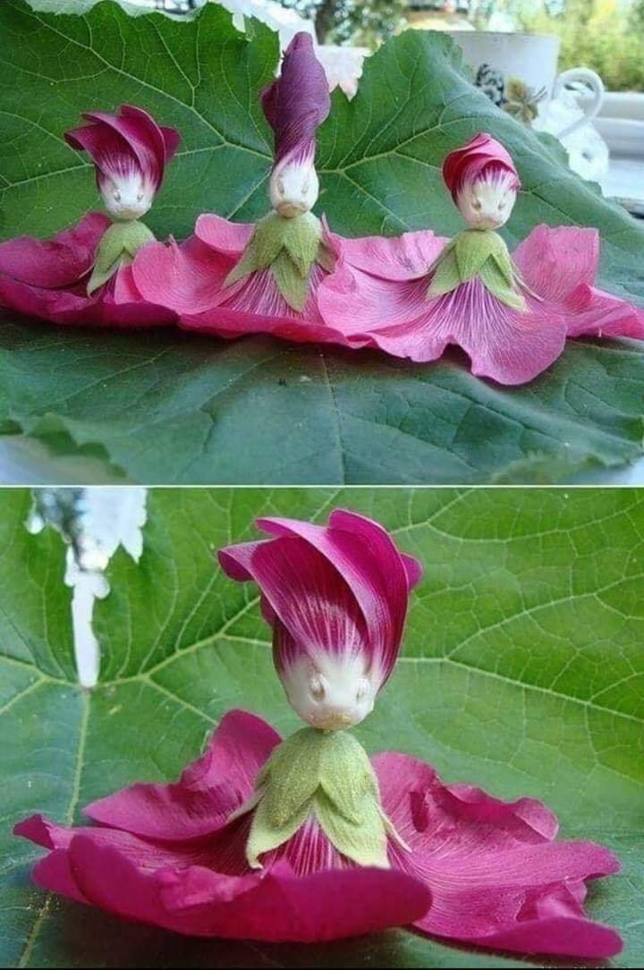 hollyhock dolls, this is why fairy tales exist