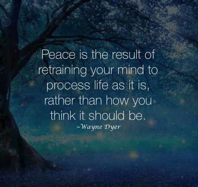 peace is the result of retraining your mind to process life as it is, rather than how you think it should be, wayne dyer