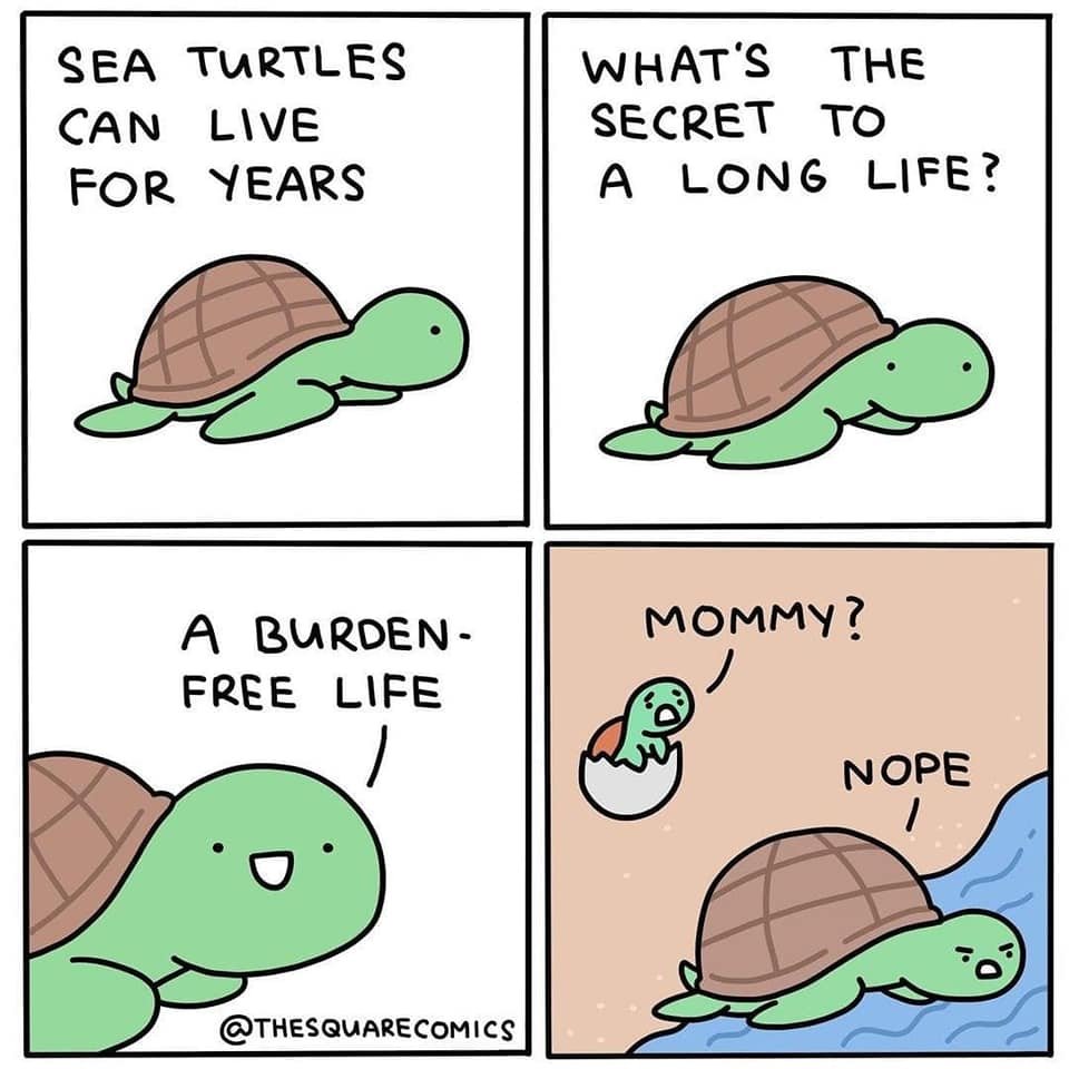 sea turtles can live for years, what's the secret to a long life?, a burden free life, mommy?, nope, comic