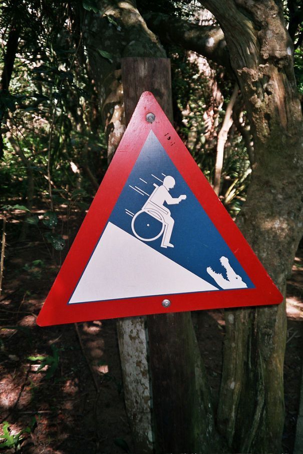 people in wheelchairs should not play chicken with the alligators, even if you have the high ground